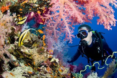 Vacanze Estive in Egitto | Tour 10 Giorni con Mare Hurghada